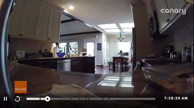 Security camera catches cheeky dog stealing peanut butter fudge
