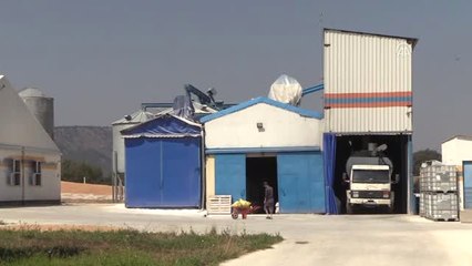 Ürettiği Elektriği Sisteme, Yumurtaları Irak'ın Kuzeyine Satıyor - Bilecik