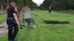 11-Foot Alligator Bites Florida Man on Disc Golf Course
