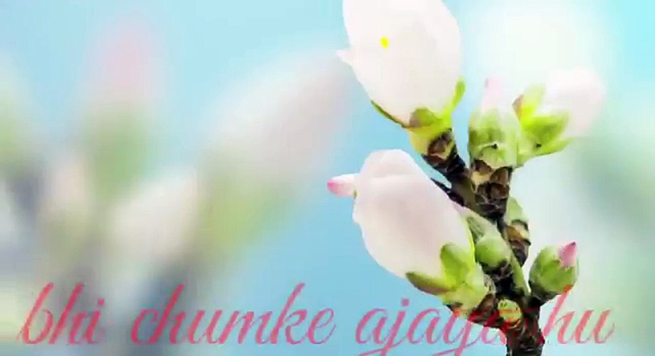Dekhke jisko jee nehi bharta naat WhatsApp status. -