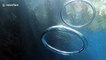 Stunning footage shows two bubble rings colliding in slow motion