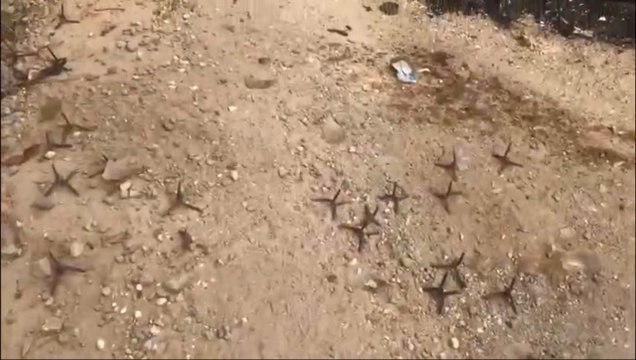 Megaoperação de resgate tem caminhões incendiados e explosão em presídio de Piraquara