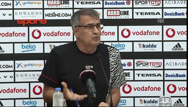 Şenol Güneş'ten 14 yabancı için yeni açıklamalar