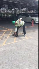 Il sauve un chat pris au piège d'un python