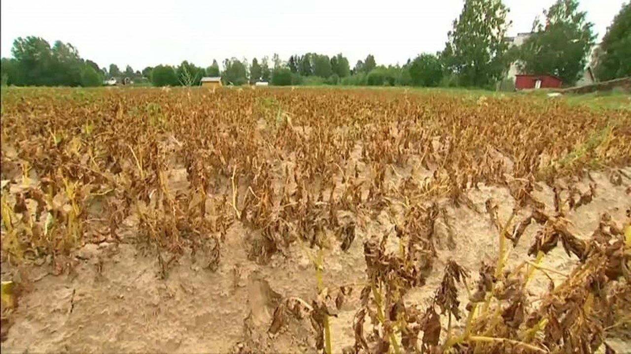 Extreme Trockenheit in Norwegen