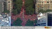 Vista aèria de la manifestació