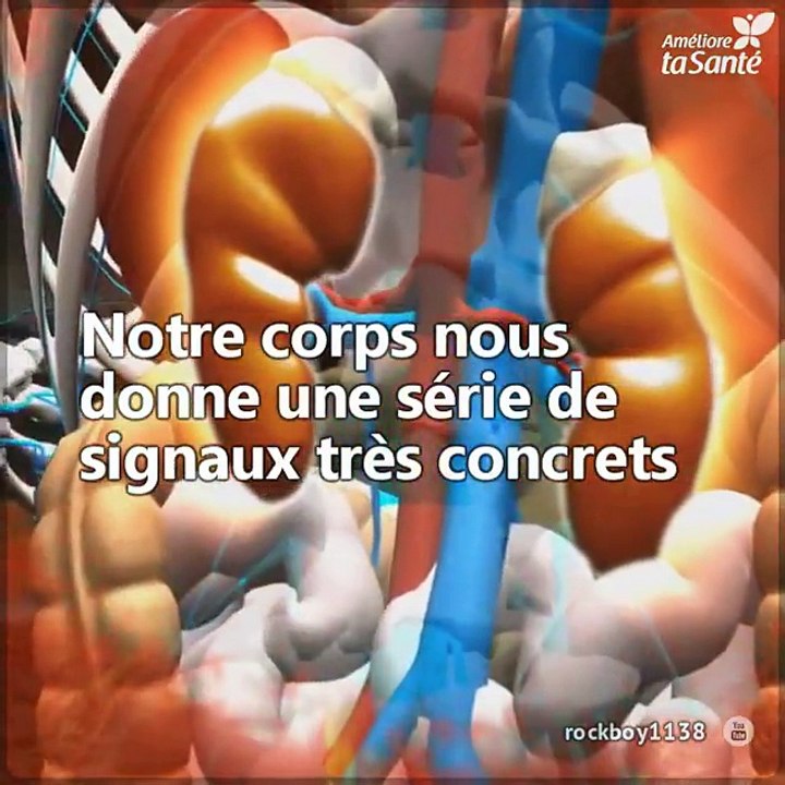 La déshydratation se produit lorsque nous perdons plus de liquide que nous en ingérons. C'est un problème sérieux que nous ne devons pas négliger. Découvrez ses symptômes principaux.