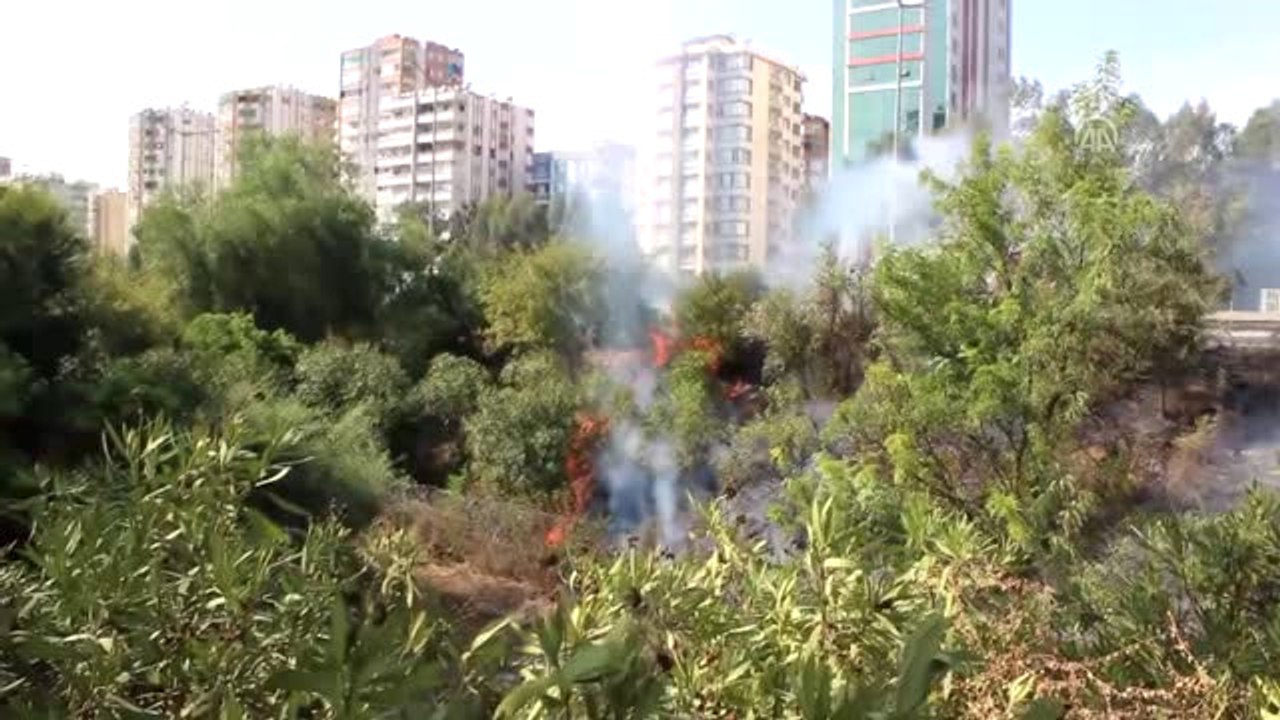Koruluk Alanda Yangın