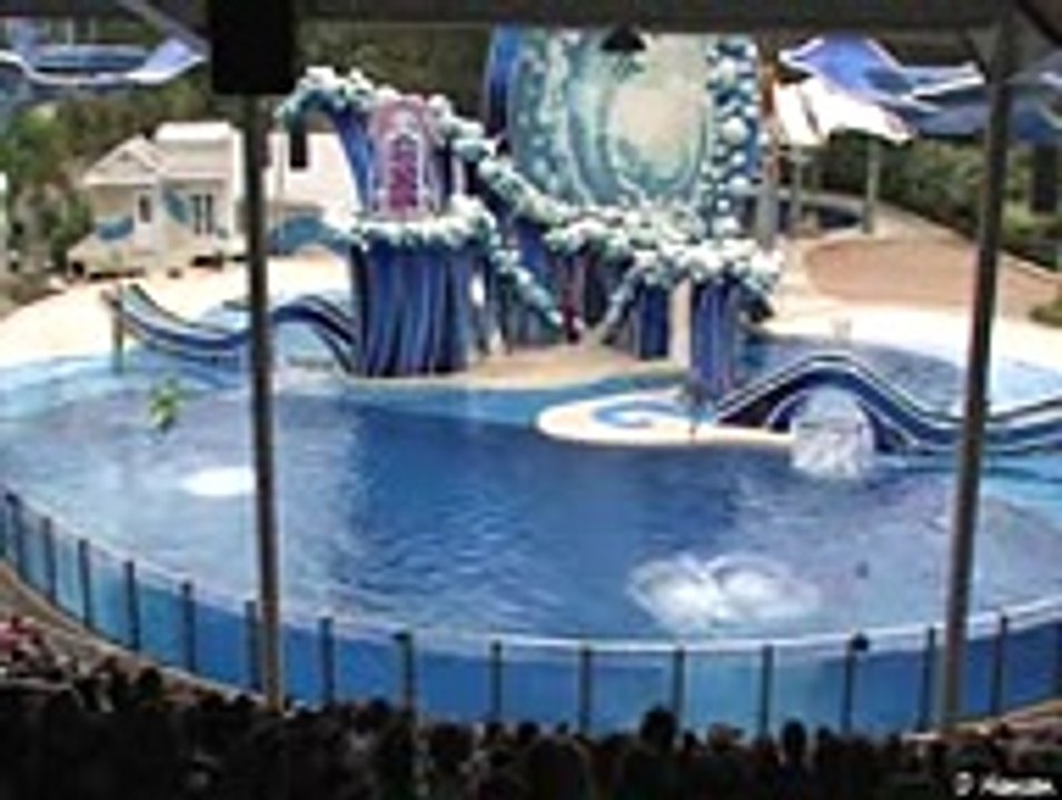 HAVE YOU EVER SEEN DOLPHIN CIRCUS, HERE IS .... IT