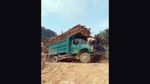 Ce camion se renverse dans un virage avec ses centaines de troncs d'arbres !