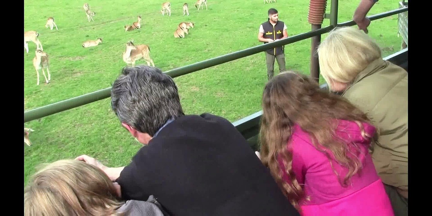 Rêve de Bisons 2018-08-30