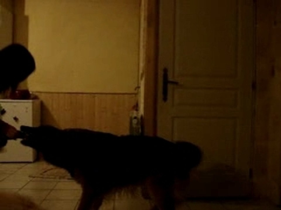 Soa vs Urgan.. mdr
