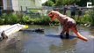 Déguisé en T-Rex, il approche d'un crocodile