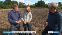 Alimentation : les pommes de terre seront bientôt plus chères