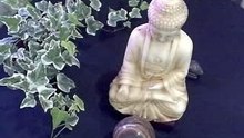 Video 31
