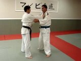 judo,.ippon seo