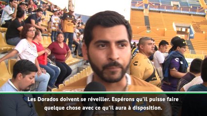 Descargar video: Dorados - Les supporters pleins d'espoirs avec la venue de Maradona