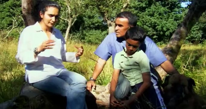 Grand Designs S09 - Ep07 Headcorn Modular House HD Watch