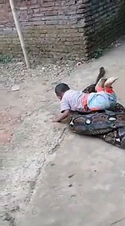 Little Kid Playing With A Snake