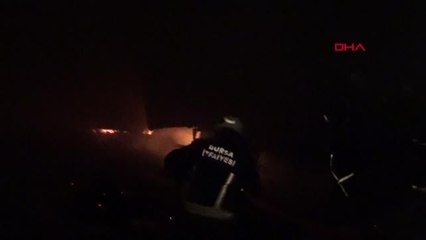 Bursa - İnegöl'de Palet Fabrikasında Yangın