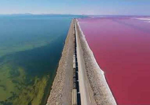 Drone Footage Captures the Great Salt Lake Train Cutting Through Pink and Blue Salt Water
