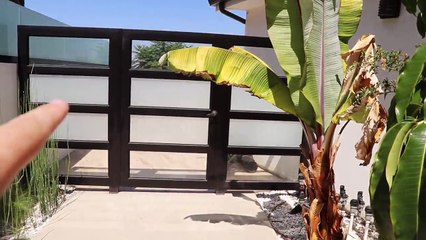 I DROVE MY MOMS CAR INTO DAVIDS LIVING ROOM