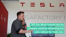 Elon Musk Announces On Twitter The Removal Of Two Color Options For Tesla