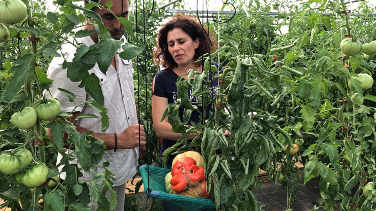 Les légumes géants de Caroline et Mehdi