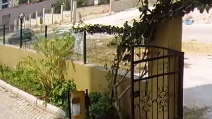 4 bisiklet çaldı 'paraya ihtiyacım vardı' dedi... Hırsızlık anları kamerada