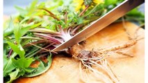 Dandelion Cures Cancer, Hepatitis, Liver, Kidneys, Stomach … Here’s How To Prepare