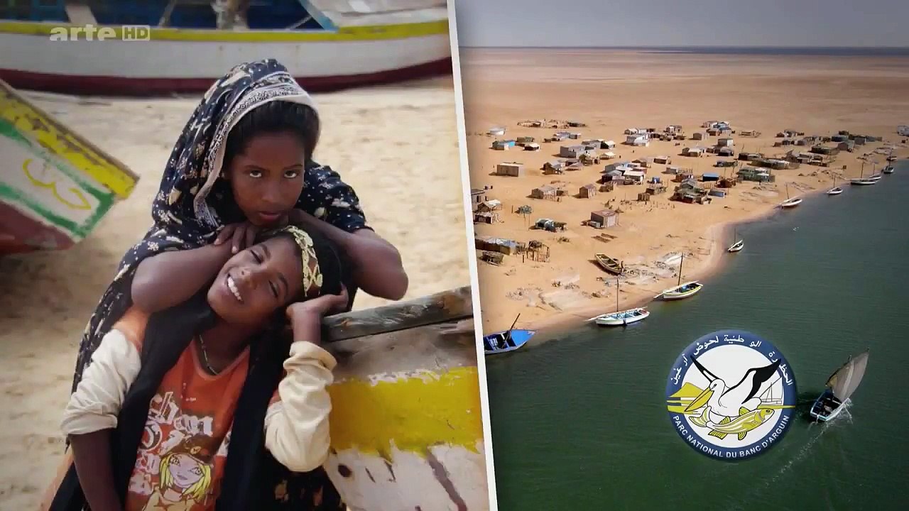 " Mauretanien: Der Nationalpark Banc d'Arguin." - Mit offenen Karten | der Wolpertinger.