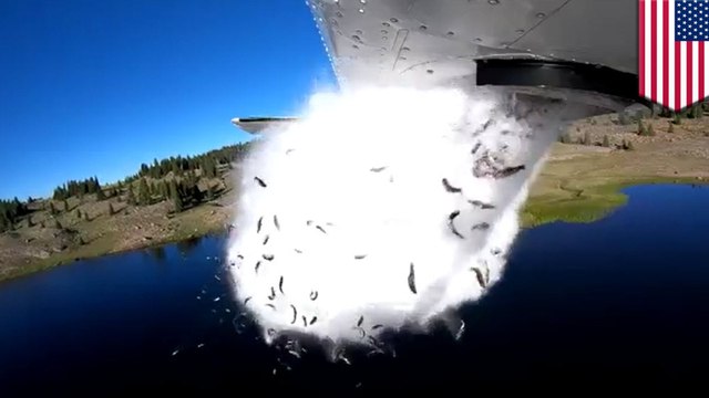 Utah drops fish from planes to restock lakes in remote areas