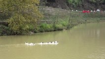 Trabzon Sera Gölü'ne, Karadeniz Usulü Temizlik