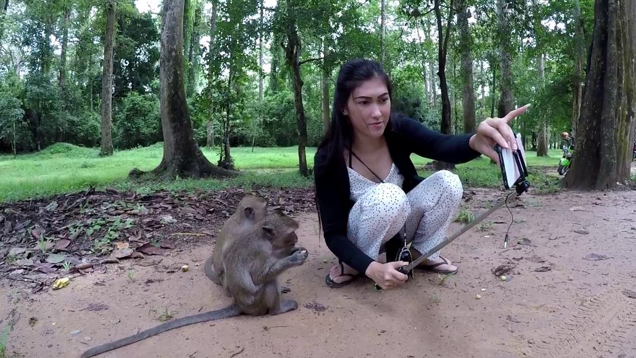 Funny Monkey And CUTE GIRL (2)