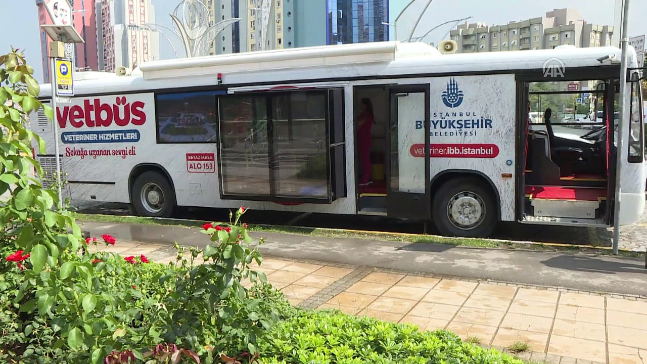 Büyükşehir'den sokak hayvanları için 'Vetbüs' - İSTANBUL
