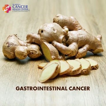 GINGER - The Cancer Fighter - Cancer Healer Center