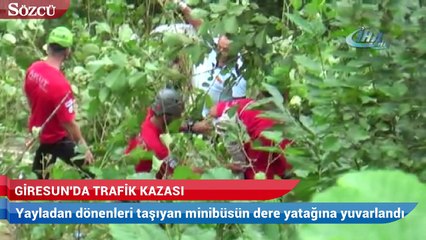 Giresun’da yayla yolunda kaza