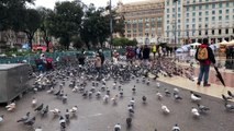 Children feeding pigeons