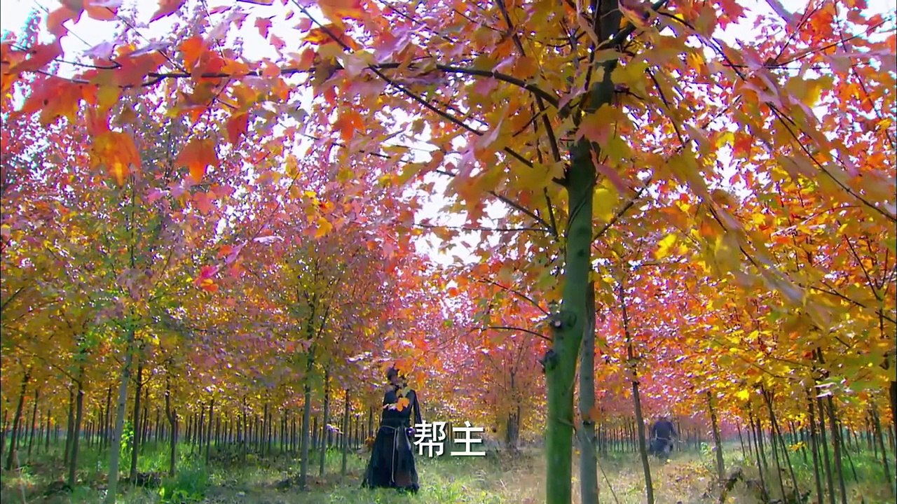 มังกรหยก 2 พากย์ไทย ตอนที่17 Full-HD