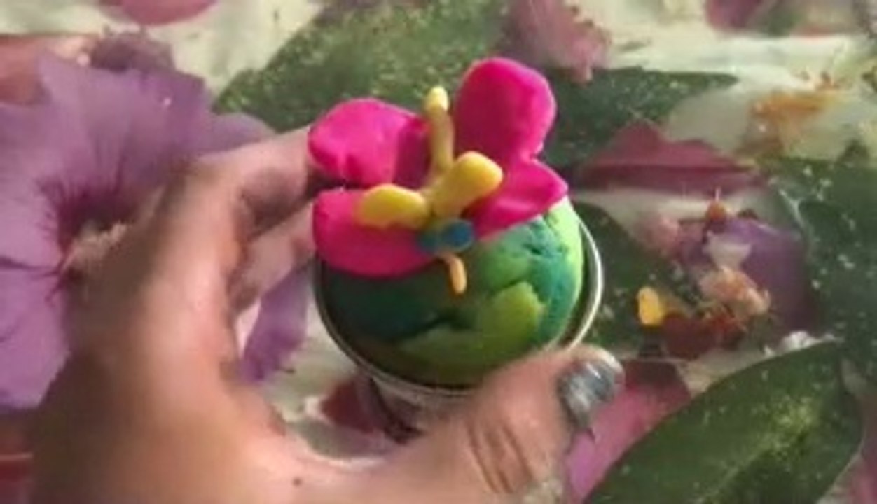 Bloom  Butterfly Creation