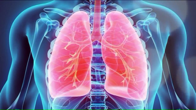 Widow Recalls Horror of Husband's Sudden Death from 9/11 Illness