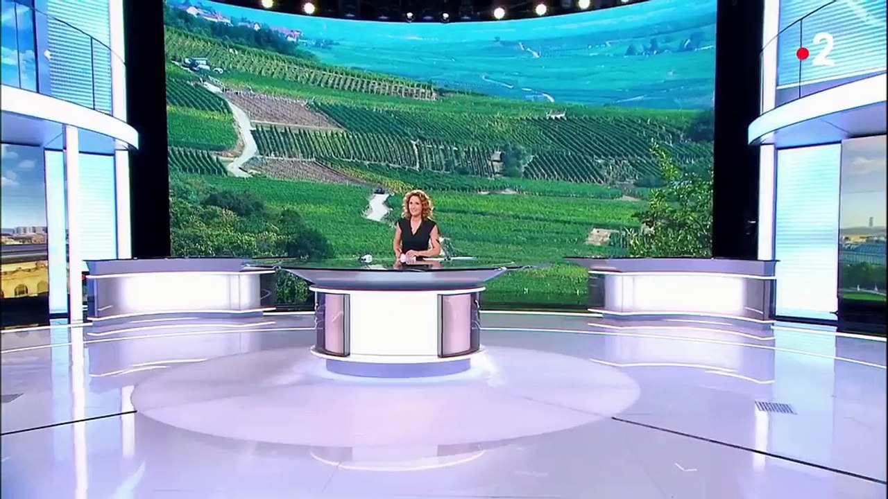 Alsace : des chevaux contre les vols dans les vignes