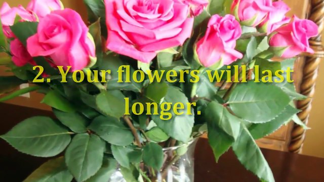 Health Tips - AMAZING USES OF ASPIRIN – YOU’VE PROBABLY DIDN’T KNOW!