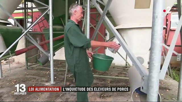 Loi alimentation : l'inquiétude des éleveurs de porcs