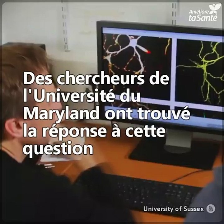 Faire de l'exercice est une bonne habitude, mais ses effets ne durent pas longtemps. Voici ce qui se produit dans votre cerveau si vous n'êtes pas constant.