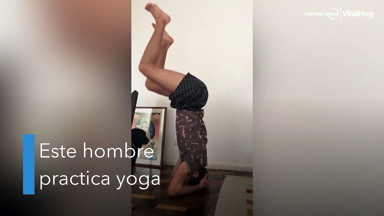 Un perro no soporta que su dueño haga yoga