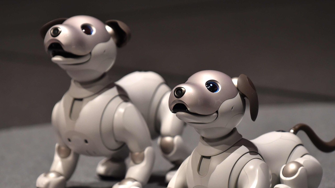 Sony's Adorable Robot Dog Is Back