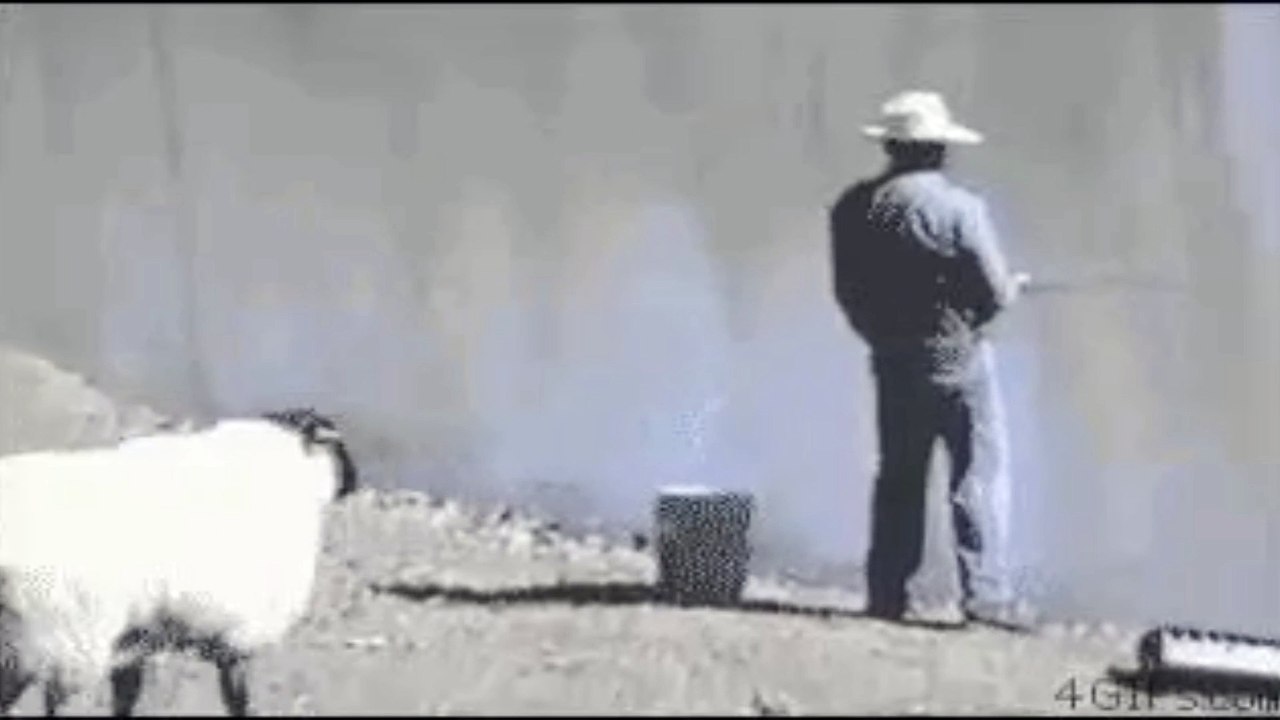 ऐसा कॉमेडी वीडियो नही देखा होगा