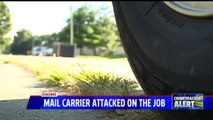 Man Arrested for Attacking Mail Carrier in Indiana