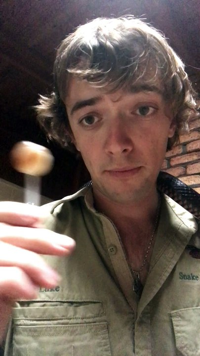 Sharing a Lollipop With a Snake